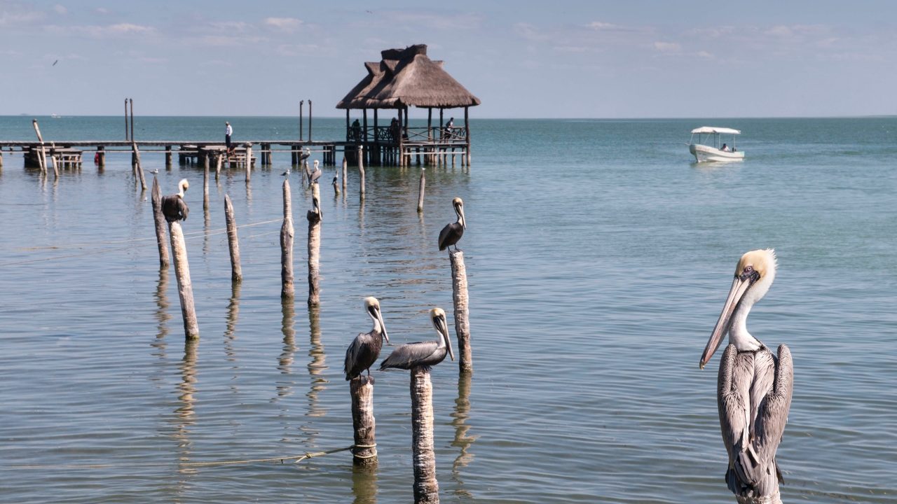 Pueblos Mágicos de Campeche que no puedes dejar de visitar