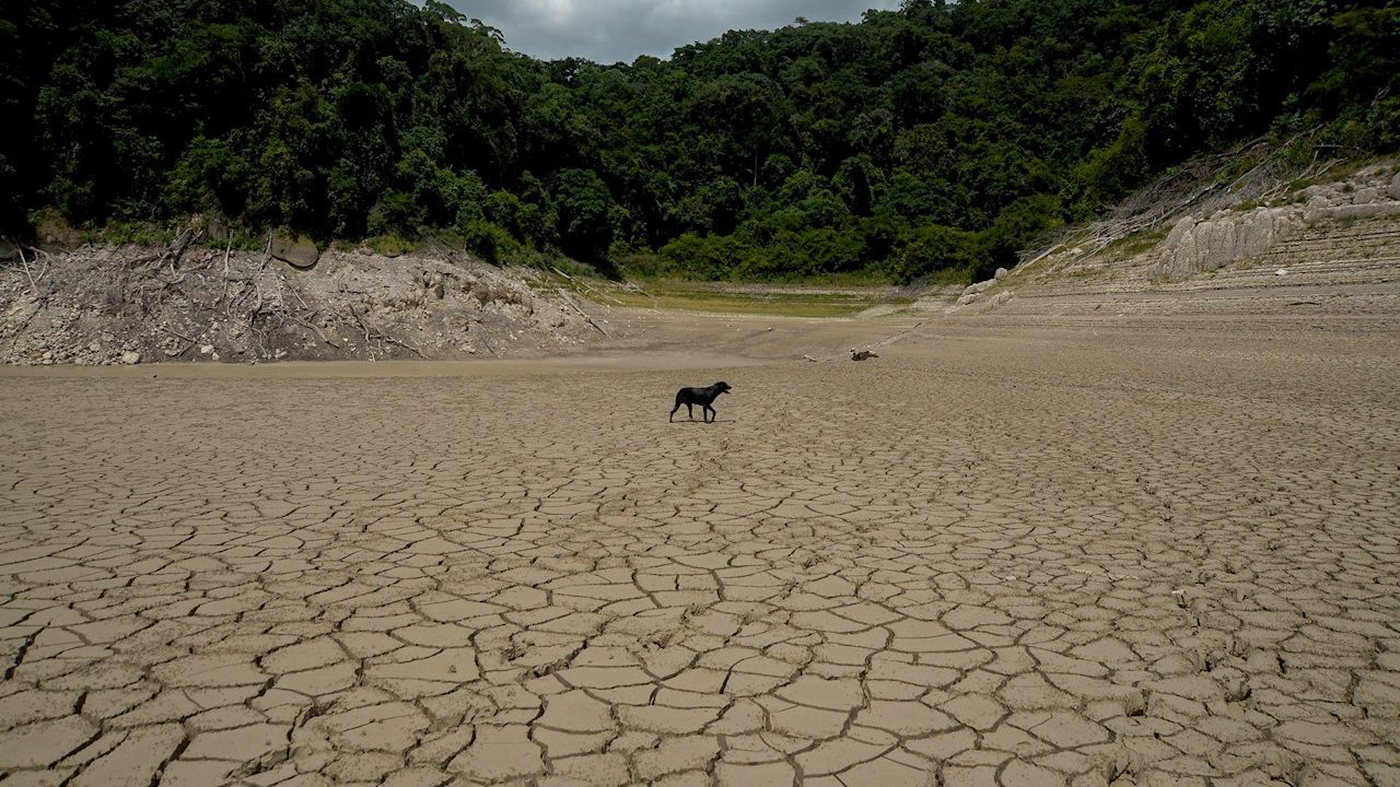 Escasa infraestructura y saneamiento agudizan problemas de agua en México