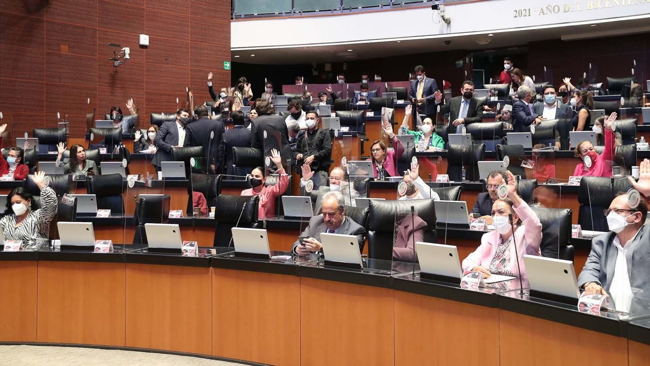 Reforma Política Electoral: ¿Hacia un Congreso más representativo?
