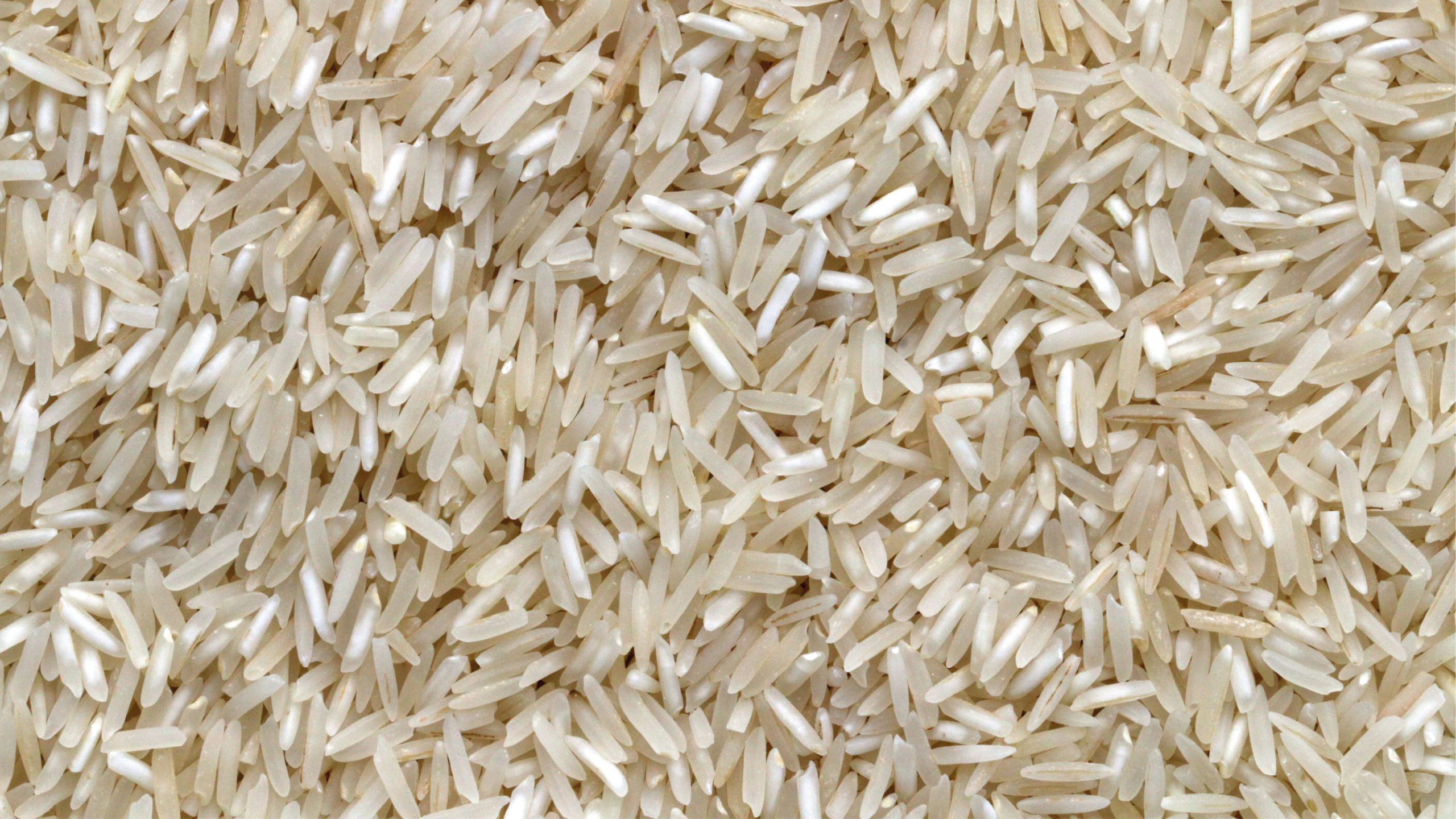 Proponen modificación genética en el arroz ante cambio climático