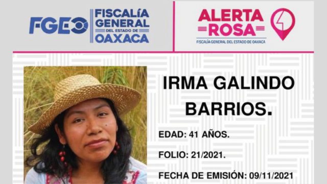 Posibles restos de Irma Galindo, defensora del bosque en Oaxaca fueron localizados