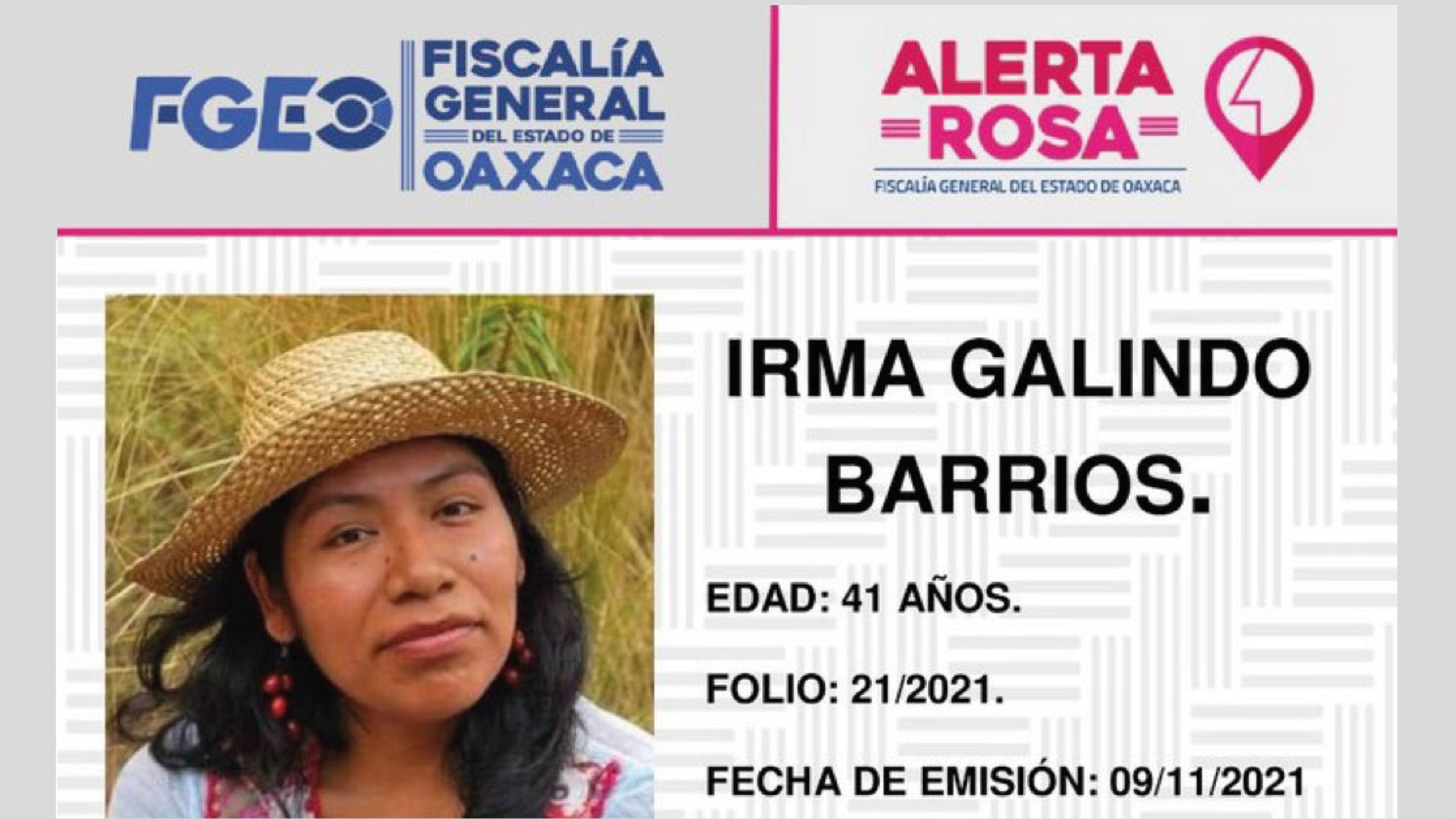 Desaparece la ambientalista Irma Galindo Barrios en Oaxaca