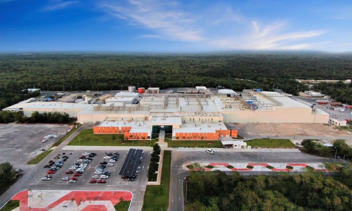 Kuo pone en marcha planta porcícola en Yucatán con 2,000 mdp