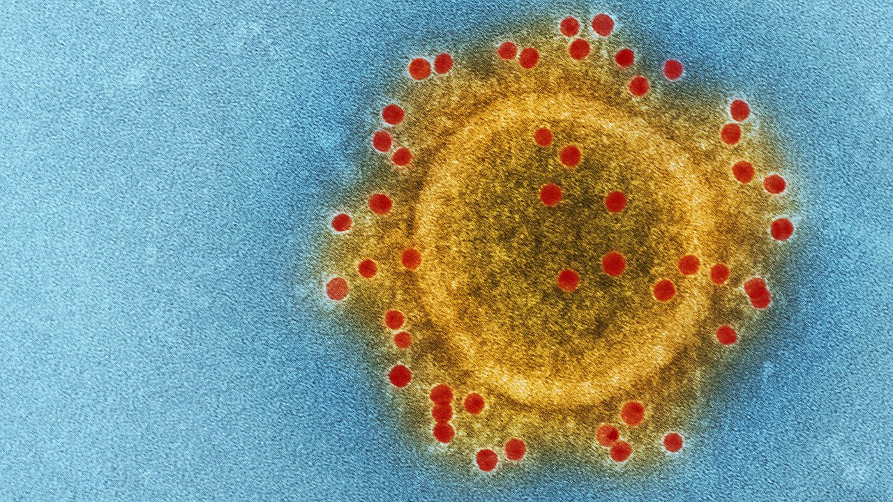 Pese a Ómicron, antivirales sí pueden frenar la pandemia: exasesora de la OMS