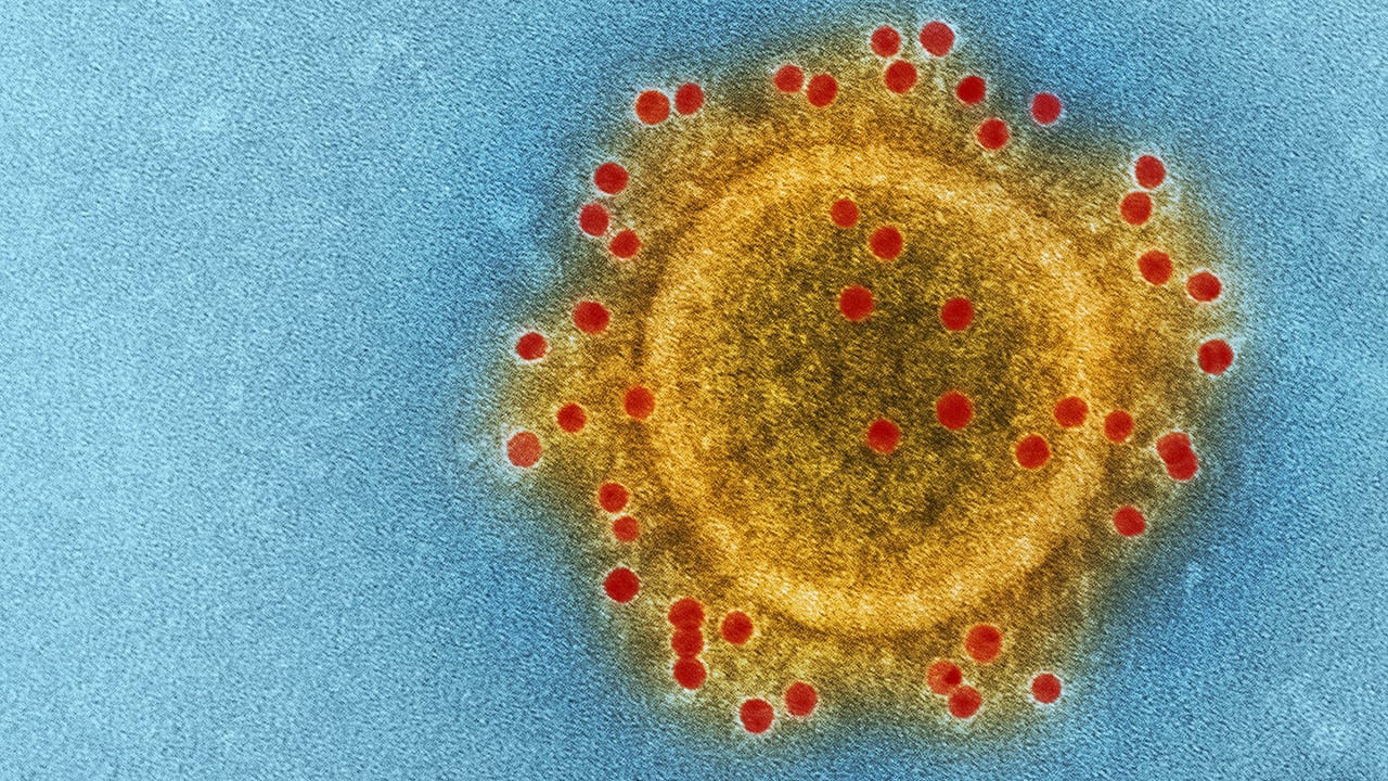 Alertan de nuevo subtipo de ómicron que causará aumento de contagios