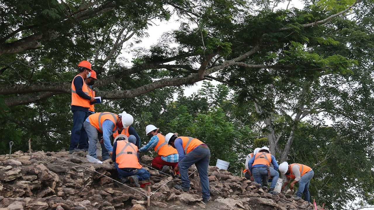 Famosos protestan por dinero; no hay destrucción de selva por el Tren Maya: AMLO