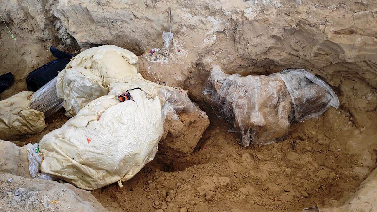 Descubren restos de un mamut de hace más de 10,000 años en Puebla