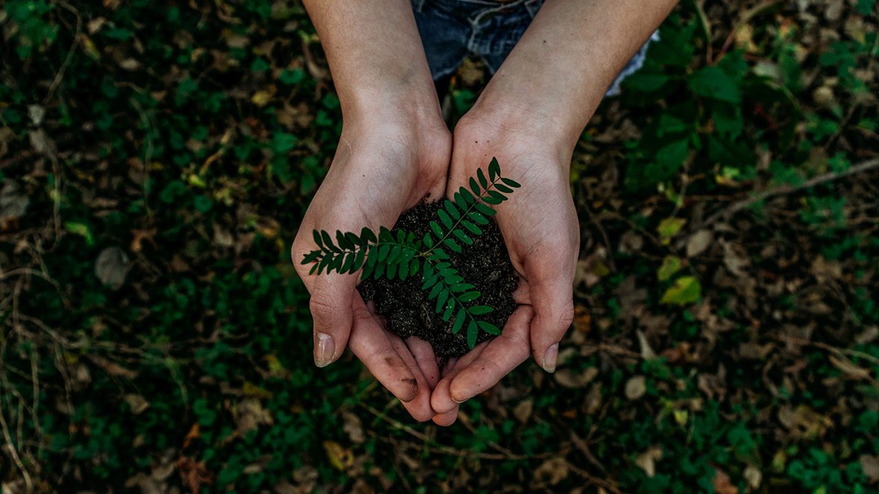 Jóvenes ecologistas se inspiran en Darwin para conservar el planeta