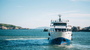 Cofece-ferries