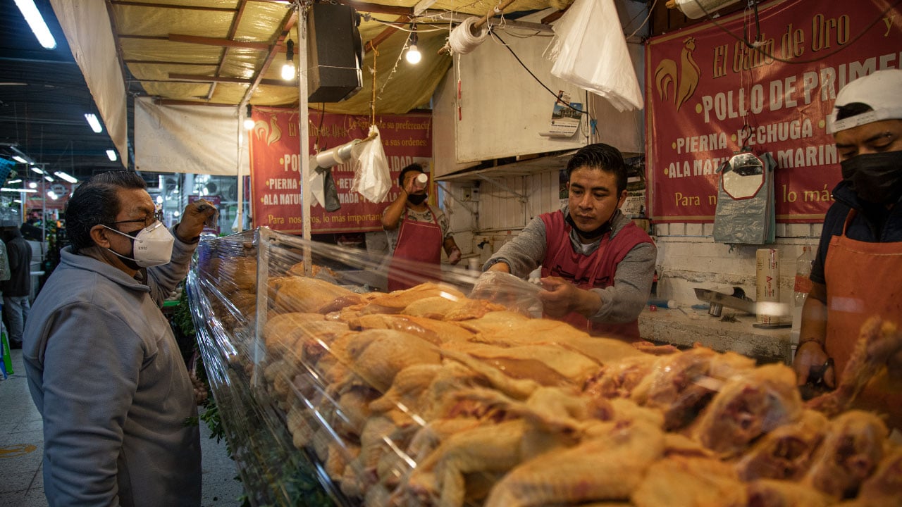 Precio alto del pollo es por culpa de intermediarios, acusan productores