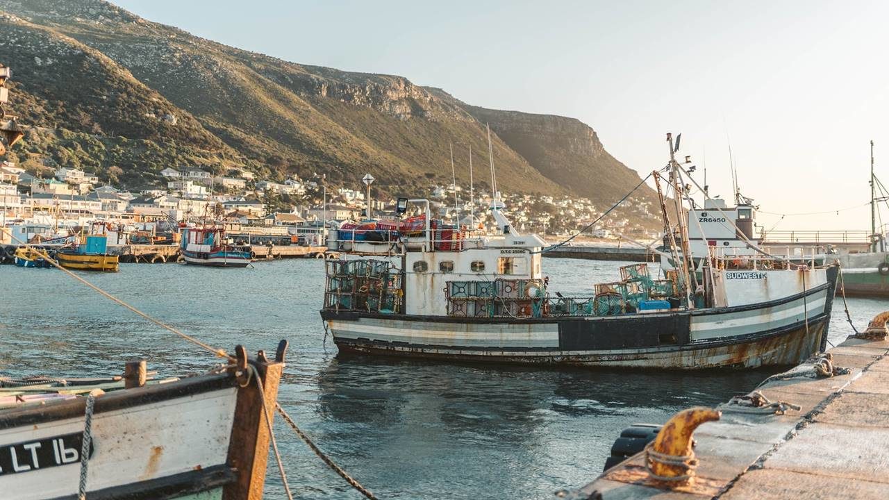 EU prohíbe a barcos pesqueros mexicanos entrar a sus puertos por pesca ilegal