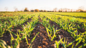agricultores cadena alimentaria