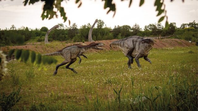 Dinosaurios emplumados y megarraptores dominaron la Patagonia