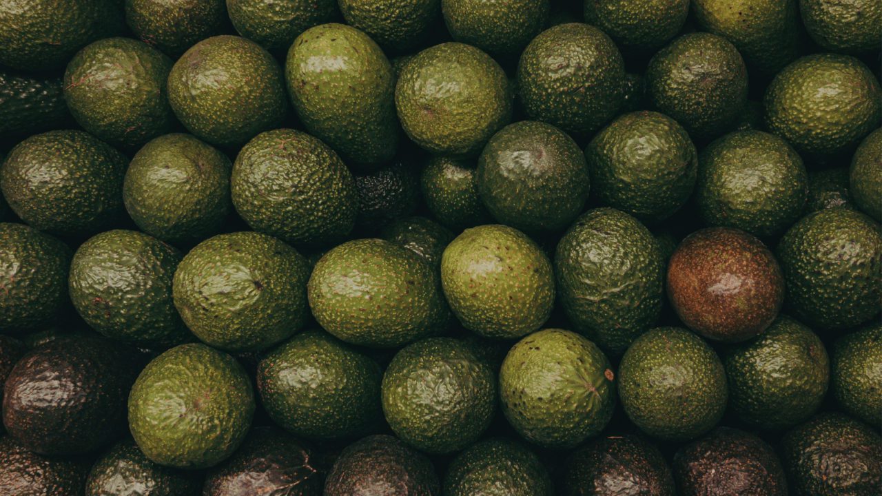 México respalda plan de seguridad para reactivar exportación de aguacate a EU