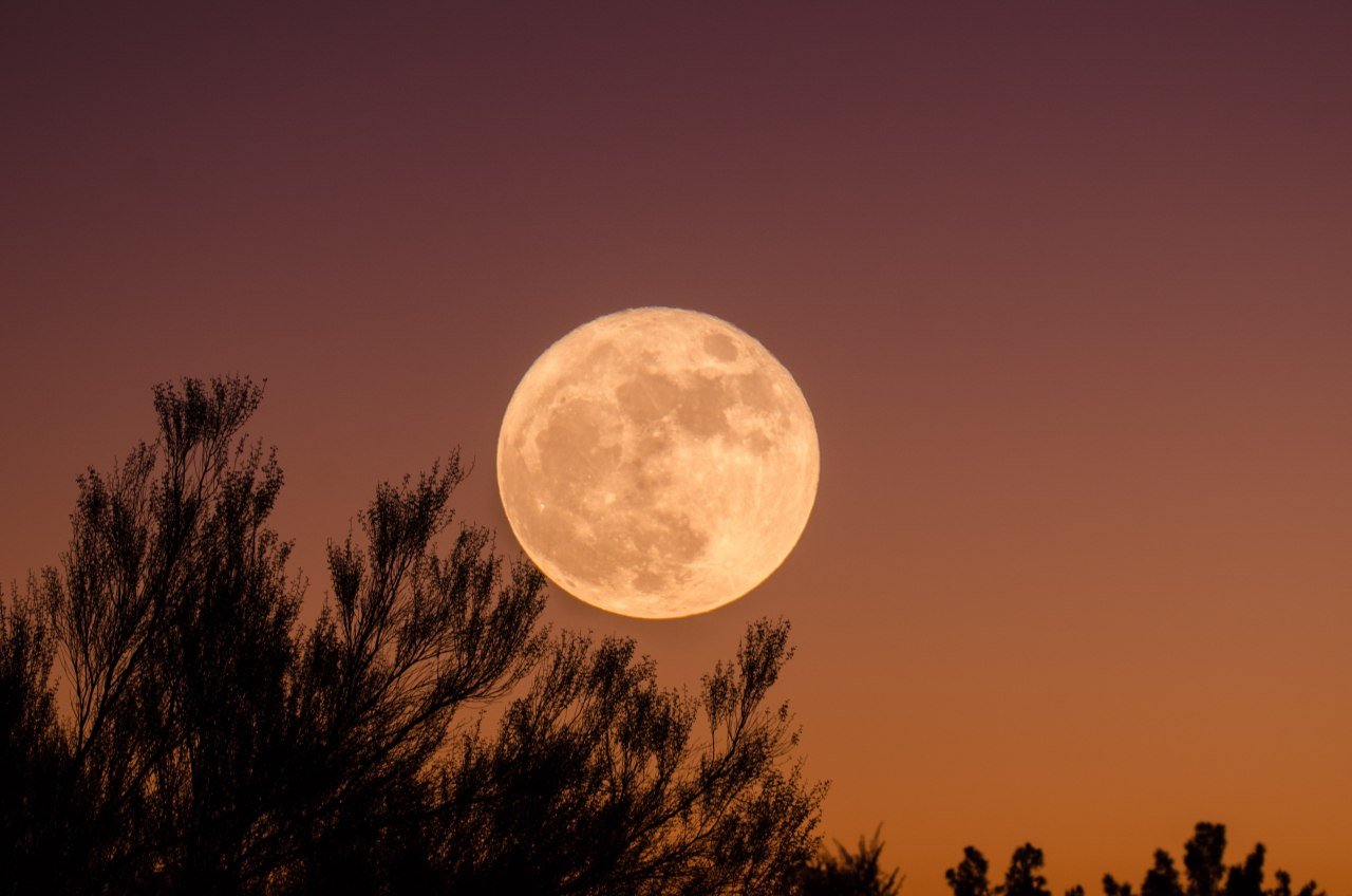 Eclipse lunar mayo 2022: ¿A qué hora y dónde ocurrirá?