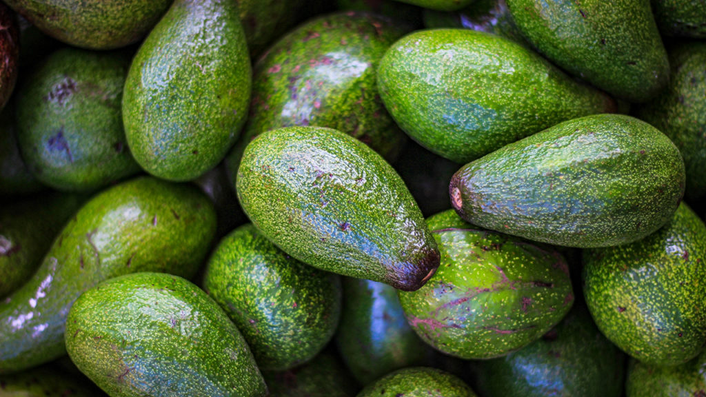 México alimentos