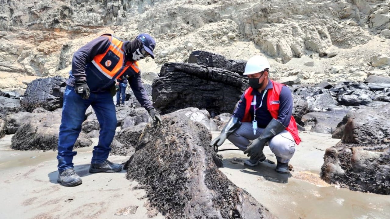 Repsol muestra avance de 43% en la limpieza del derrame de crudo en Perú