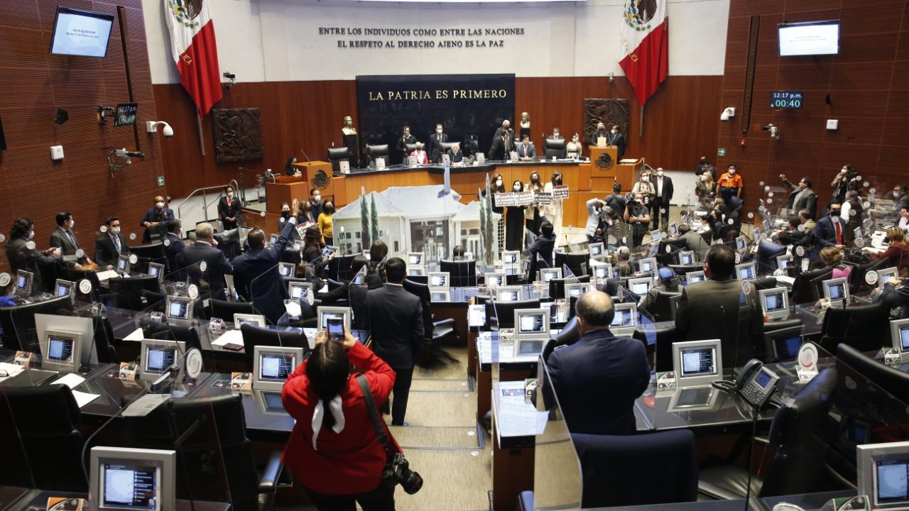 Cualquier padre mexicano estaría orgulloso de tener hijos como los de AMLO: Morena