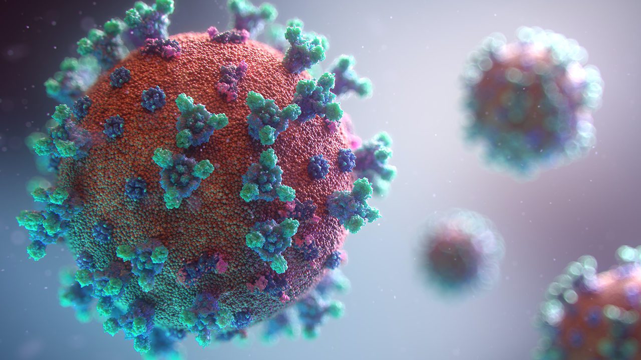 Hong Kong reporta primer caso en un humano del mortal virus B; paciente, en estado crítico tras ataque de un mono
