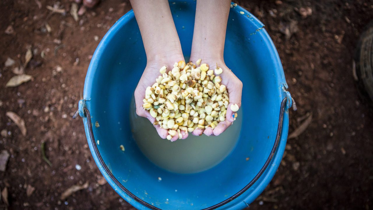 Por qué modificar la ley no cambiará la realidad de los adolescentes que trabajan en el sector agrícola