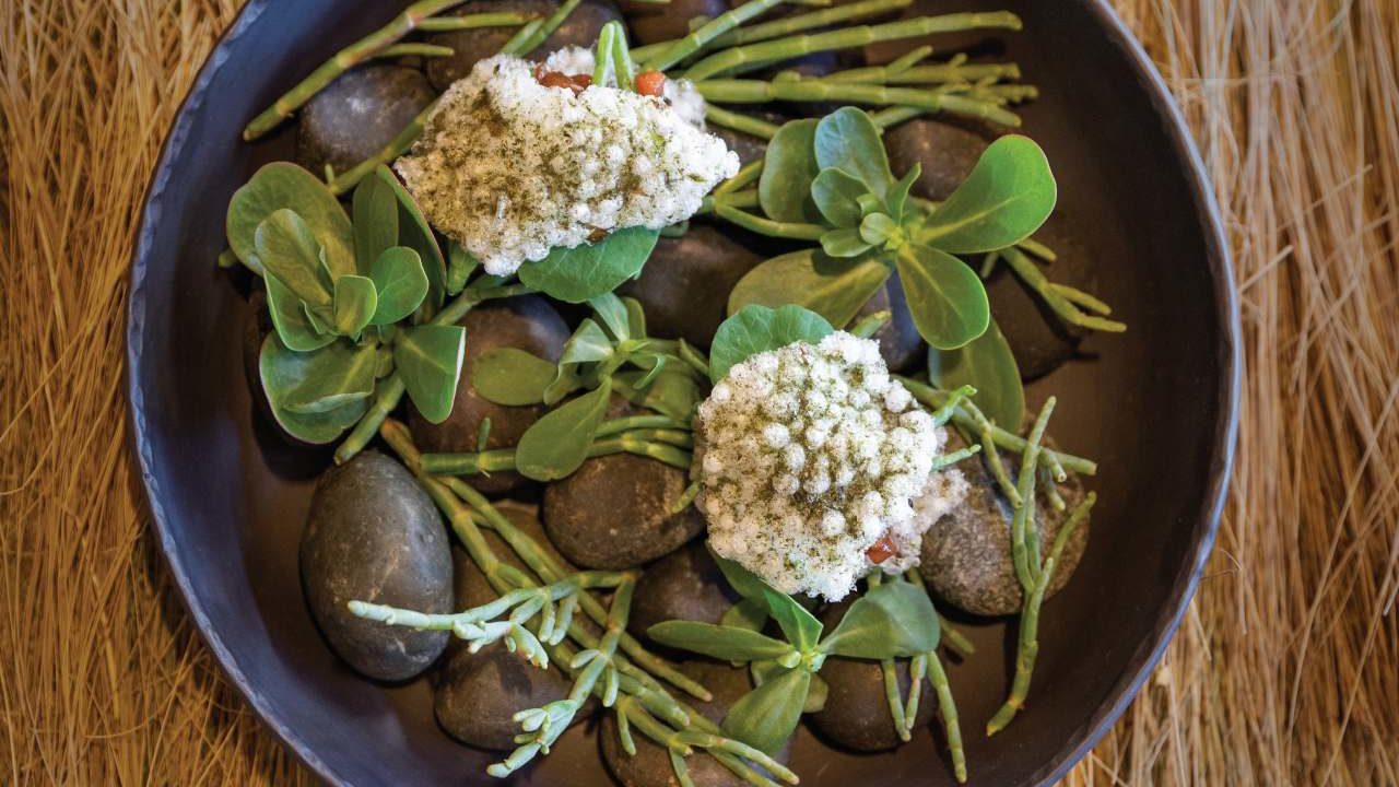 Cultura para el paladar: la relevancia de educar a niños y jóvenes en la gastronomía