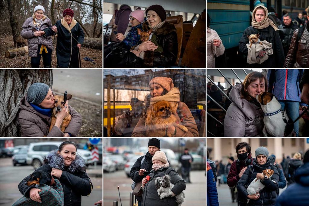Ucrania Ukrainian women confront the hardest International Women's Day under shadow of Russian attacks