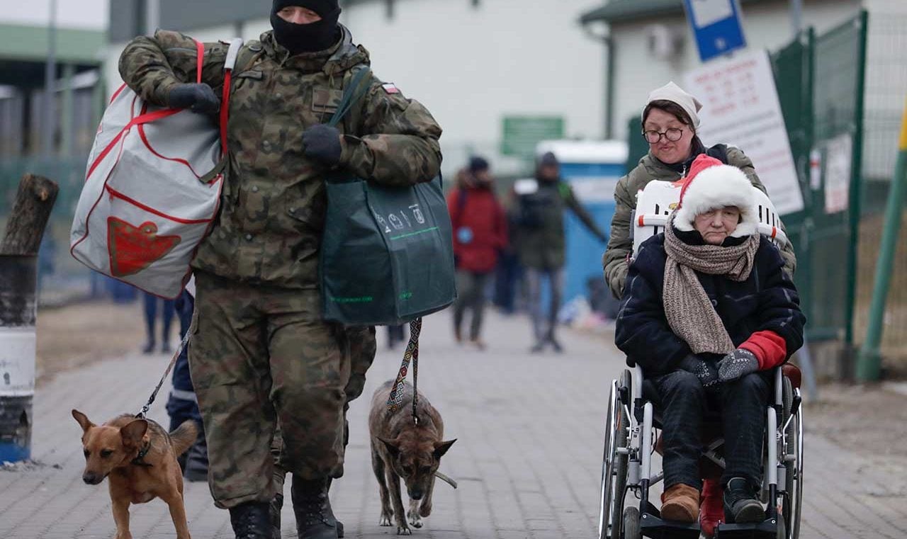 Refugio en Ucrania acoge a los animales rescatados del frente de batalla