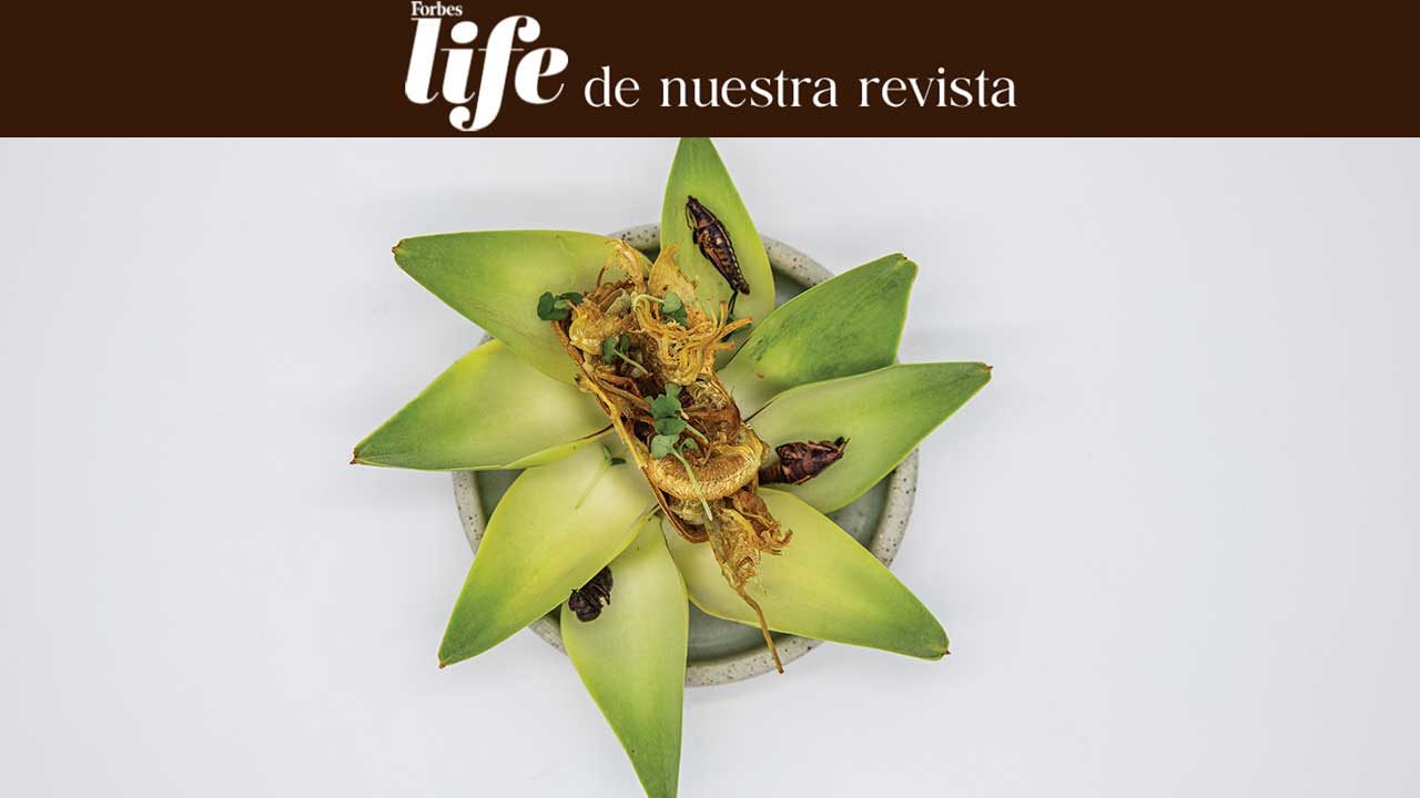 Mauro Colagreco, gastronomía con propuesta sostenible