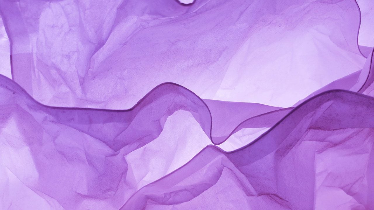 Día Internacional de la Mujer: ¿Por qué se utiliza el color verde y morado?