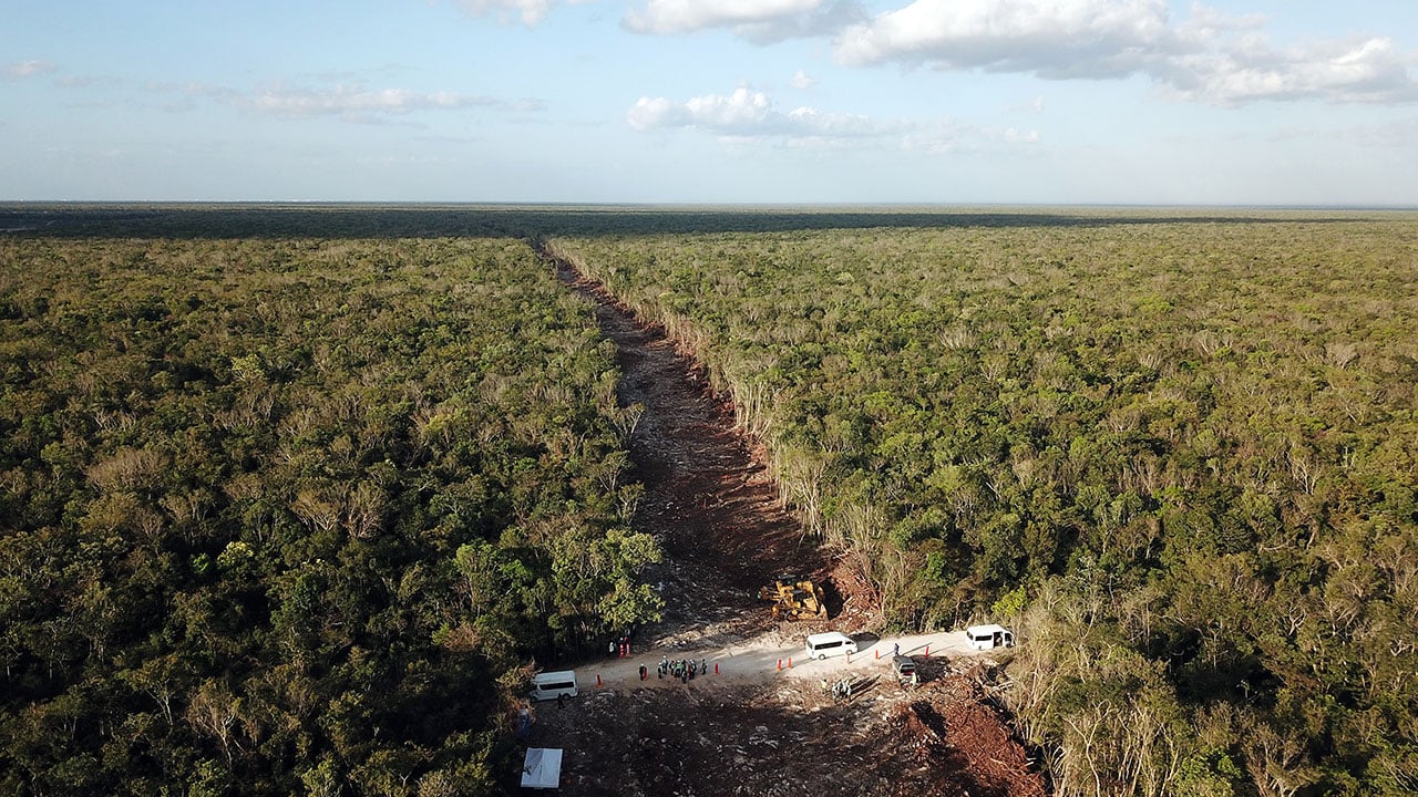 Revira gobierno: en tramo 5 sólo se han deforestado 300 mil árboles; ONGs acusan más de 8 millones