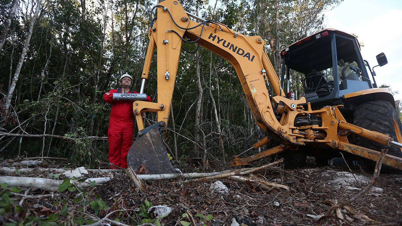 Juez federal admite amparo que busca frenar dos tramos del Tren Maya