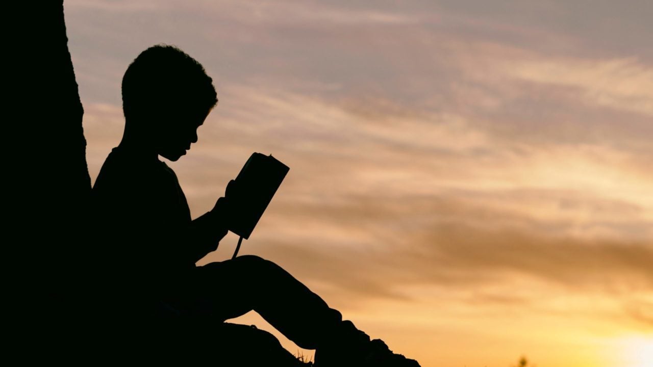 Perlego quiere ser el Netflix de los libros educativos