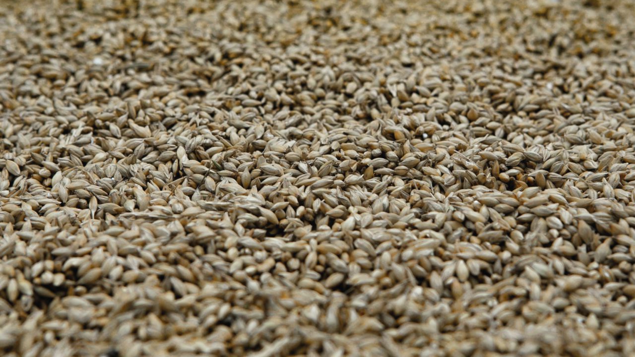 Ucrania plantea la posibilidad de escoltar militarmente a barcos exportadores de grano