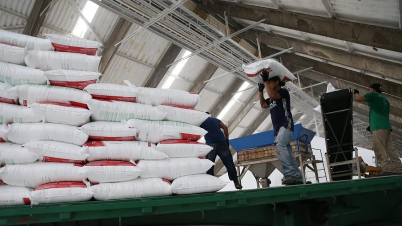 Pemex adelantará a la Sader entrega de fertilizantes del próximo año