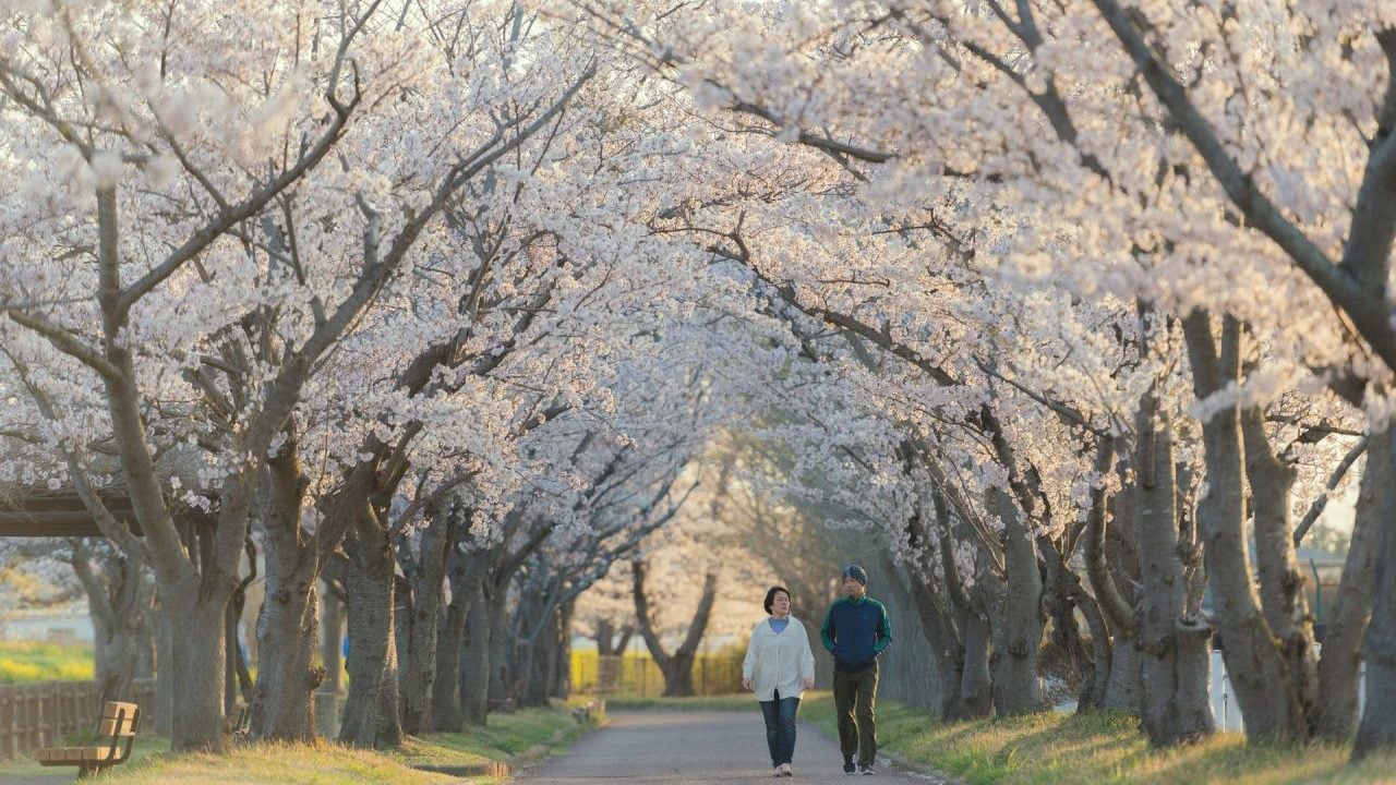 Japón suma su récord de casos de covid en un día con más de 107,000