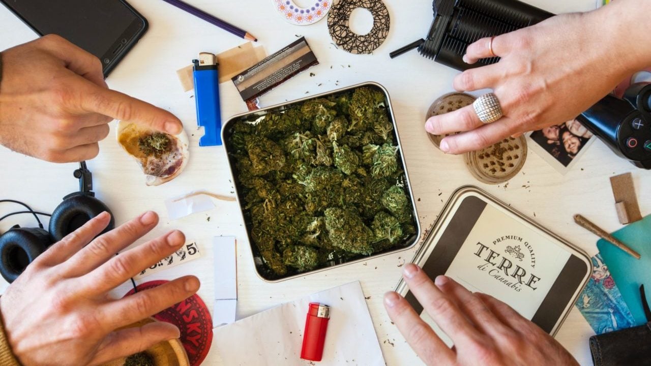Ser verde, no es fácil: desafíos financieros que enfrentan las empresas de cannabis legales