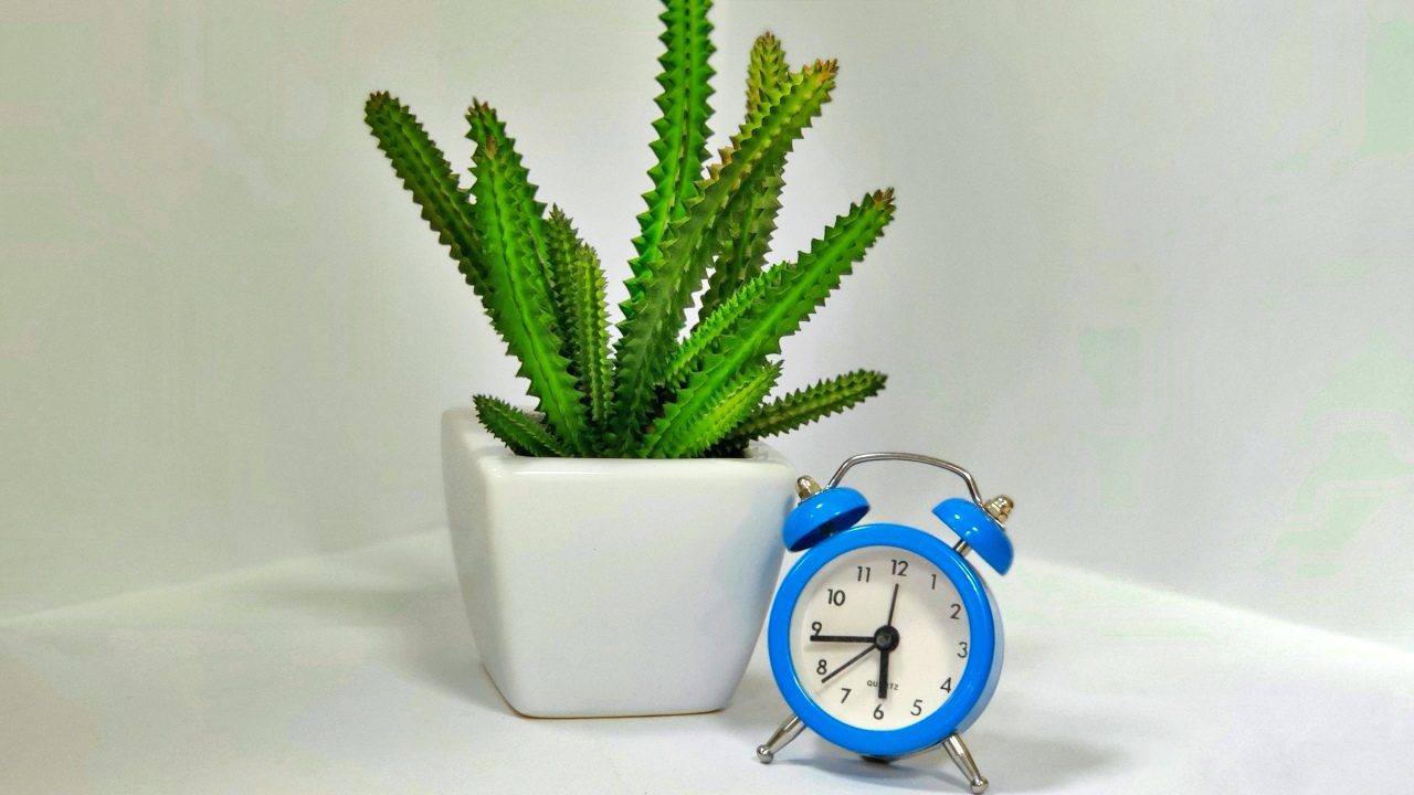 Horario de verano ¿Se adelanta o se atrasa el reloj?