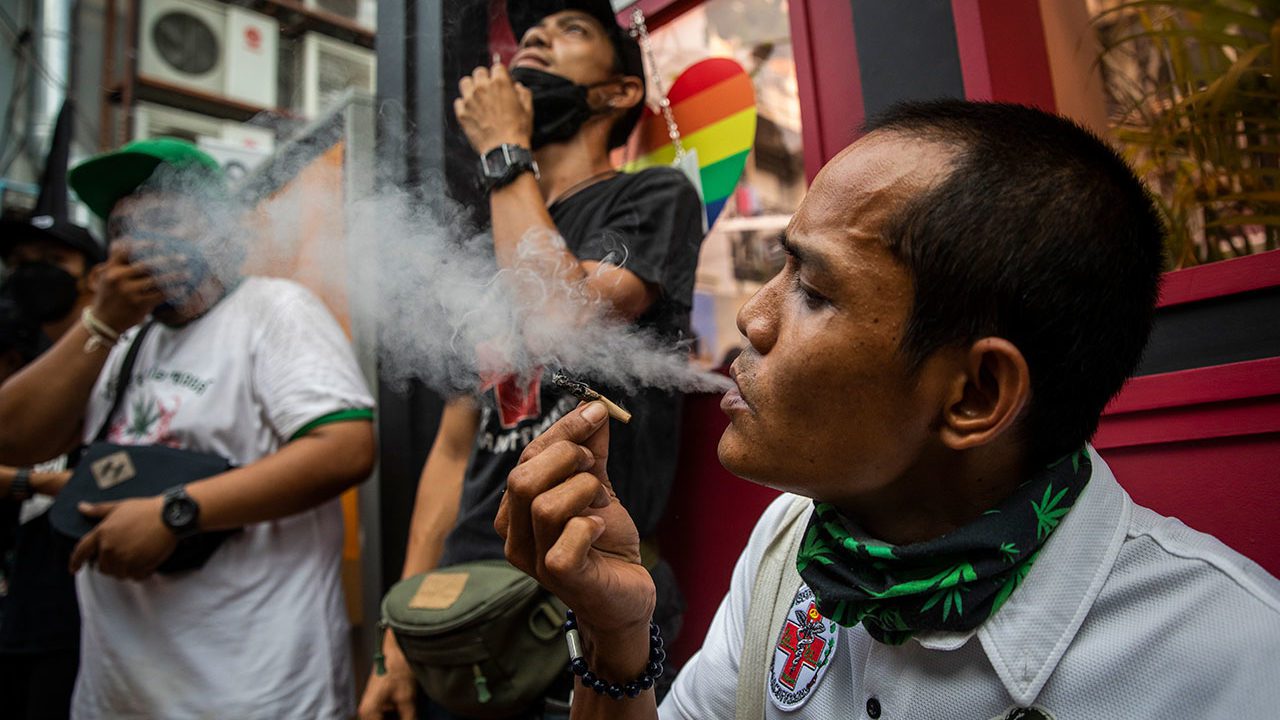 Consumo adolescente de cannabis y exposiciones prenatales duplican riesgo de esquizofrenia: estudio