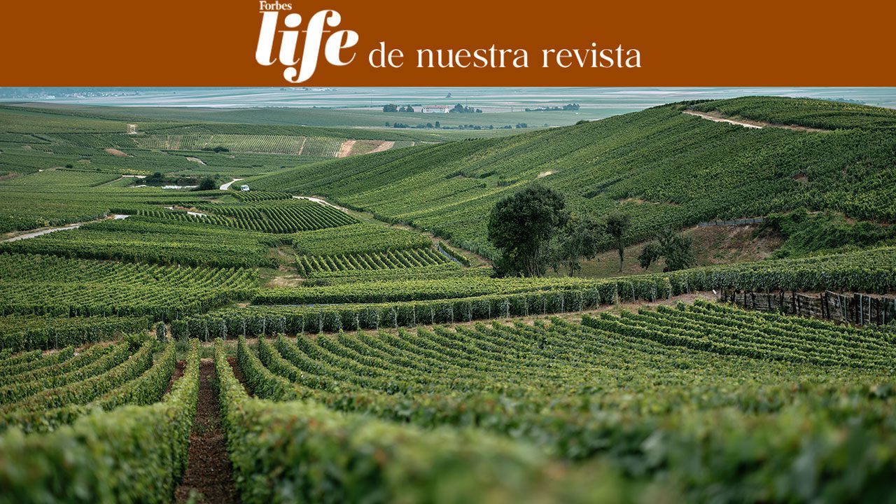 Moët & Chandon y su oda a la naturaleza