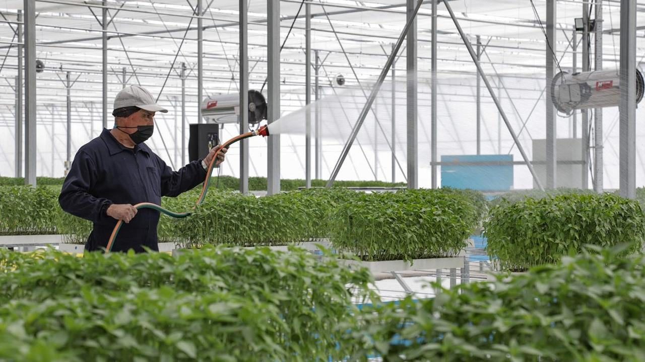 Inauguran planta y centro de investigación de Tajín para producir 850 mil salsas al día