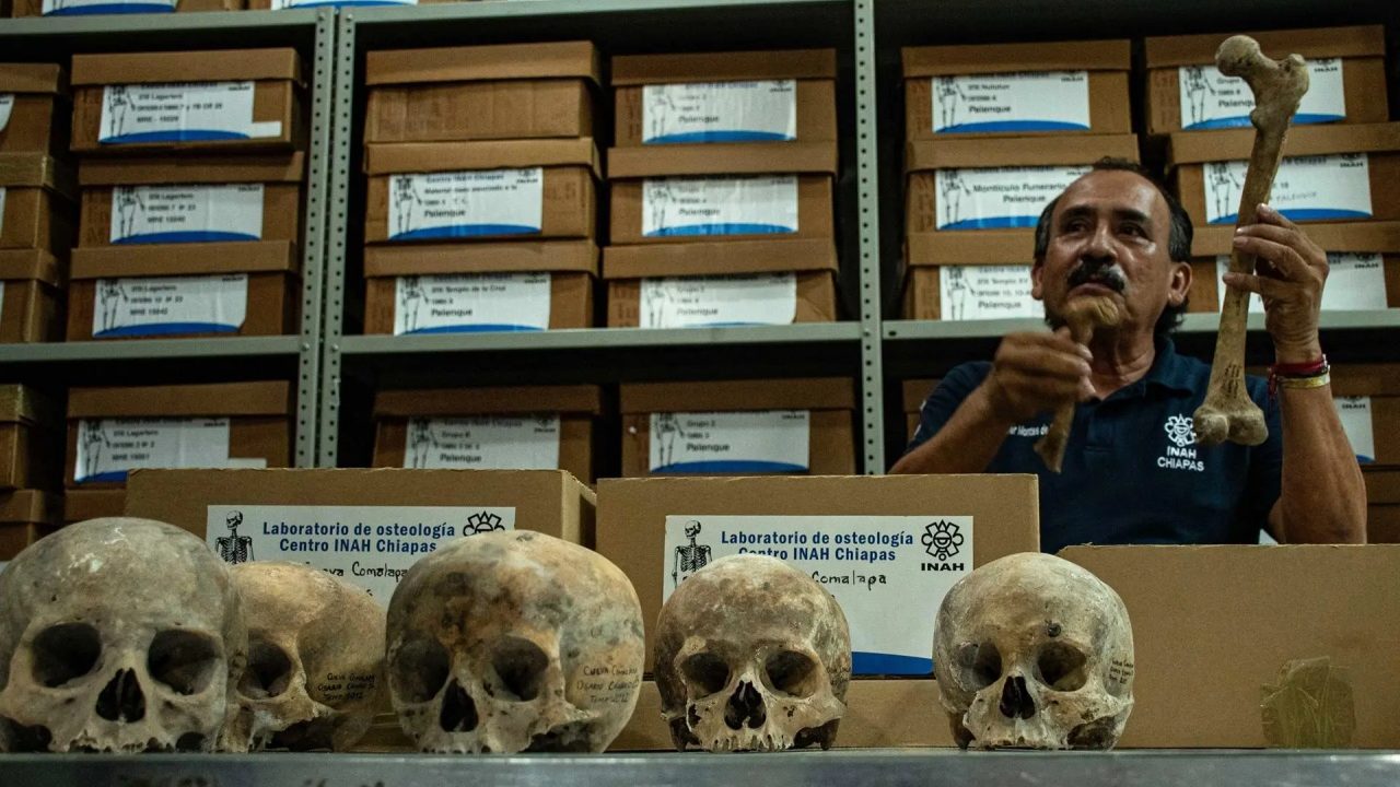 Descubren 150 cráneos de un posible altar maya a la muerte en Chiapas
