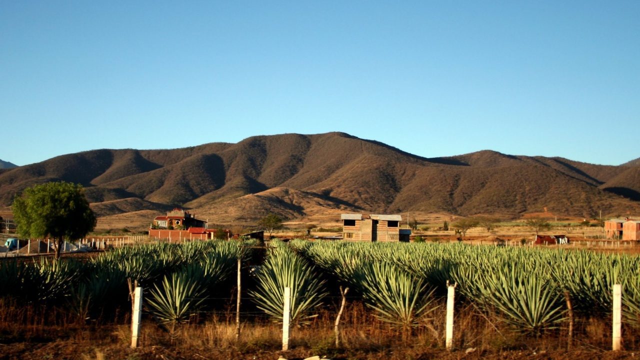 Pueblos Mágicos para verdaderos amantes del mezcal