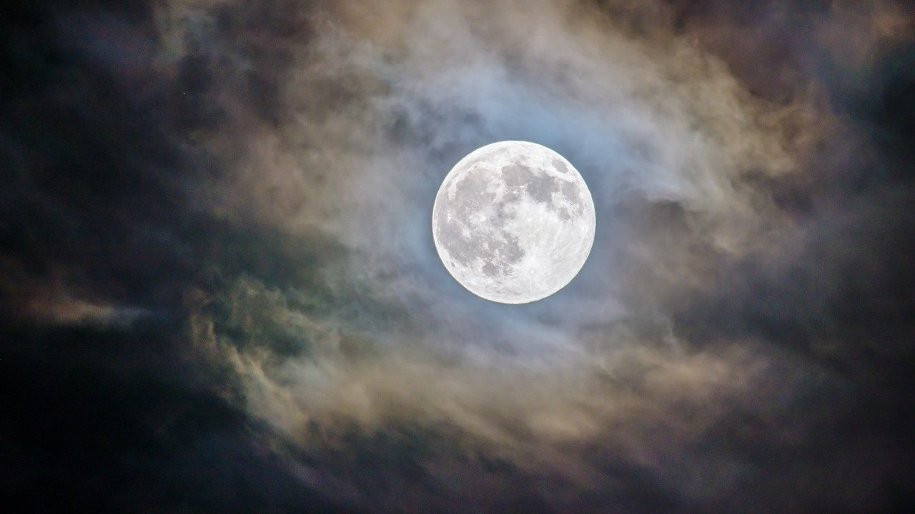 Científicos descubren cómo cultivar plantas en la Luna