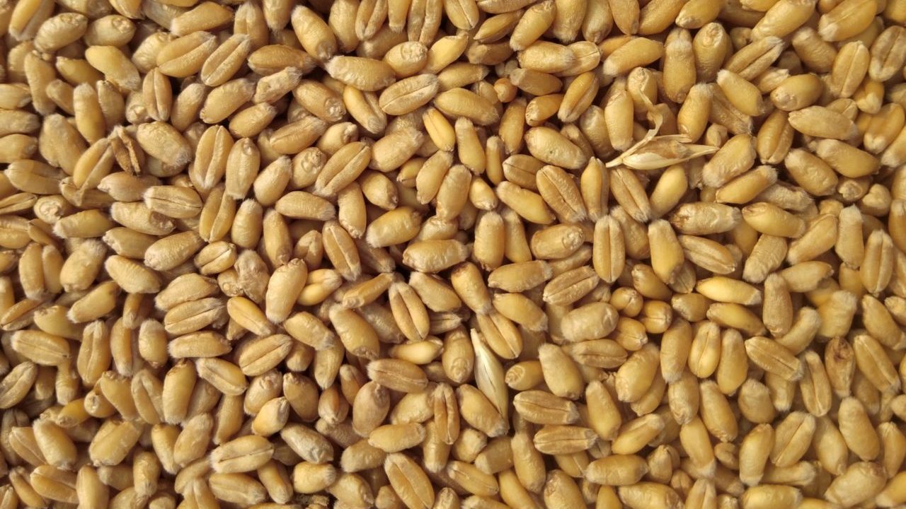 Guerra de Ucrania hace subir casi 10% precios de insumos agrícolas