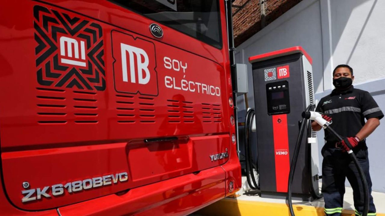 Prevé asociación de transporte miles de autobuses eléctricos chinos con Sheinbaum