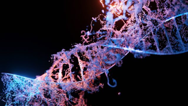 Reconstrucción de genoma resuelve el misterio del origen de la peste bubónica