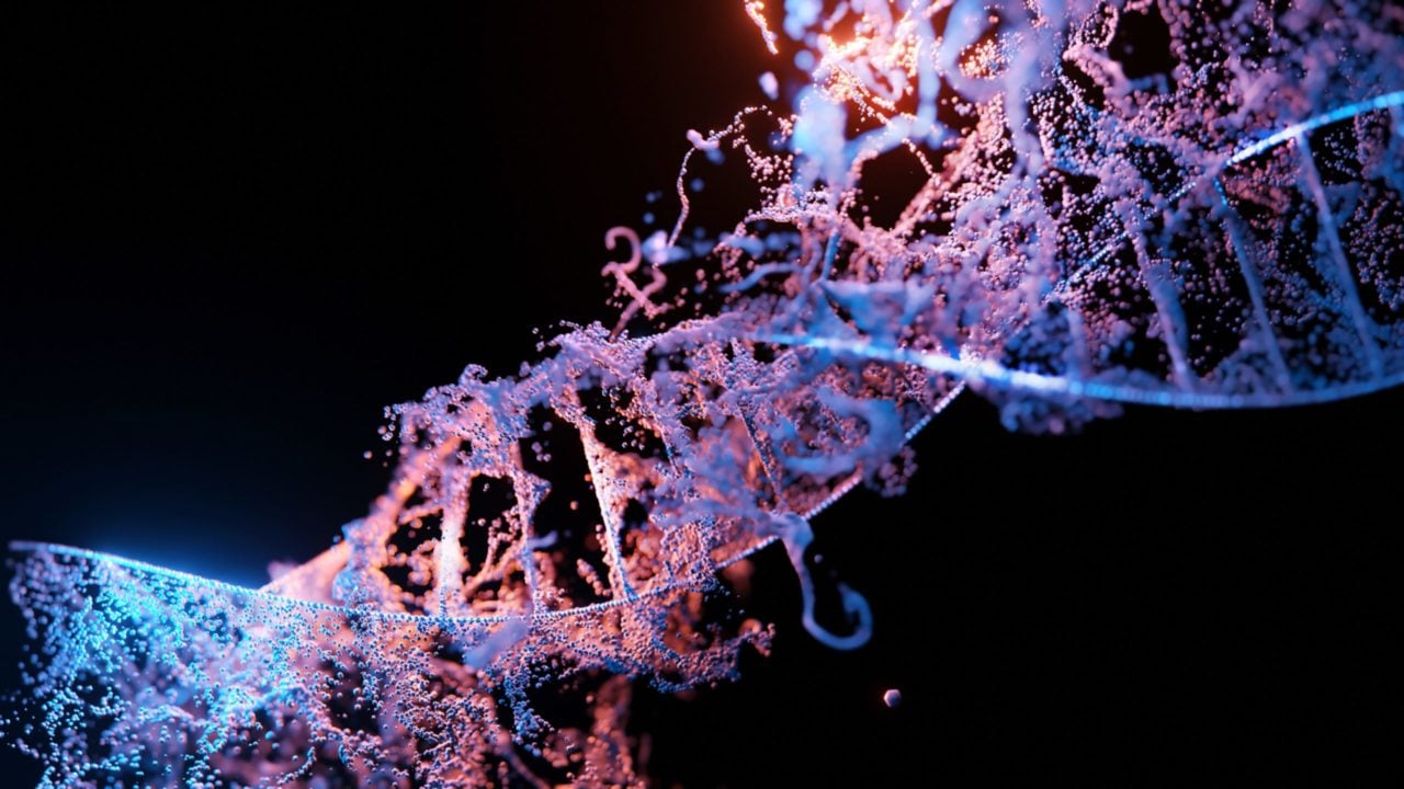 Reconstrucción de ADN resuelve misterio del origen de la peste bubónica