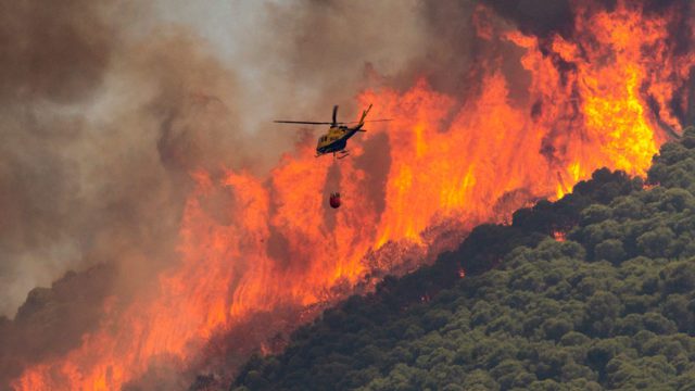 Imágenes: Europa lucha contra los incendios producidos por la ola de calor