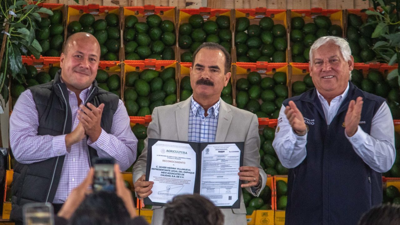 Así es la conquista del aguacate jalisciense de Estados Unidos