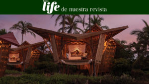 Playa Viva